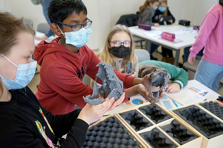 Schülerinnen und Schüler betrachten 3D-Modelle verschiedener Schädel