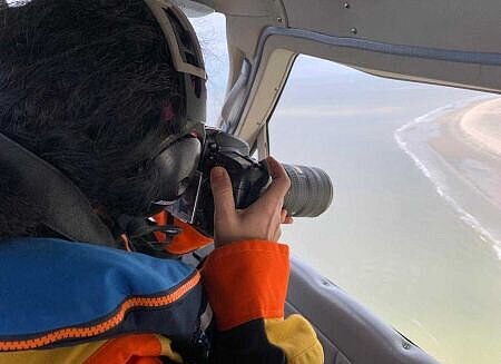 Observer photographing a grey seal roost from an airplane