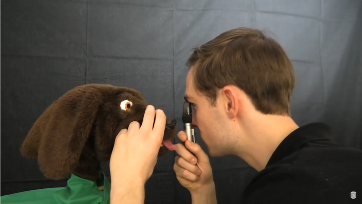 Eye examination on the simulator