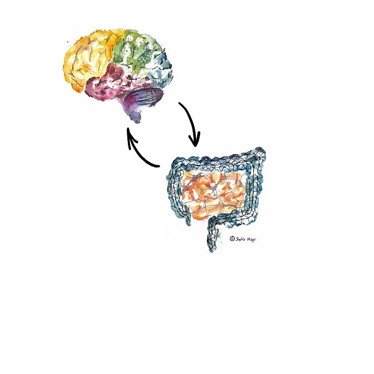 Zeichnung von einem Gehirn und einem Darm, die einander gegenseitig beeinflussen.
