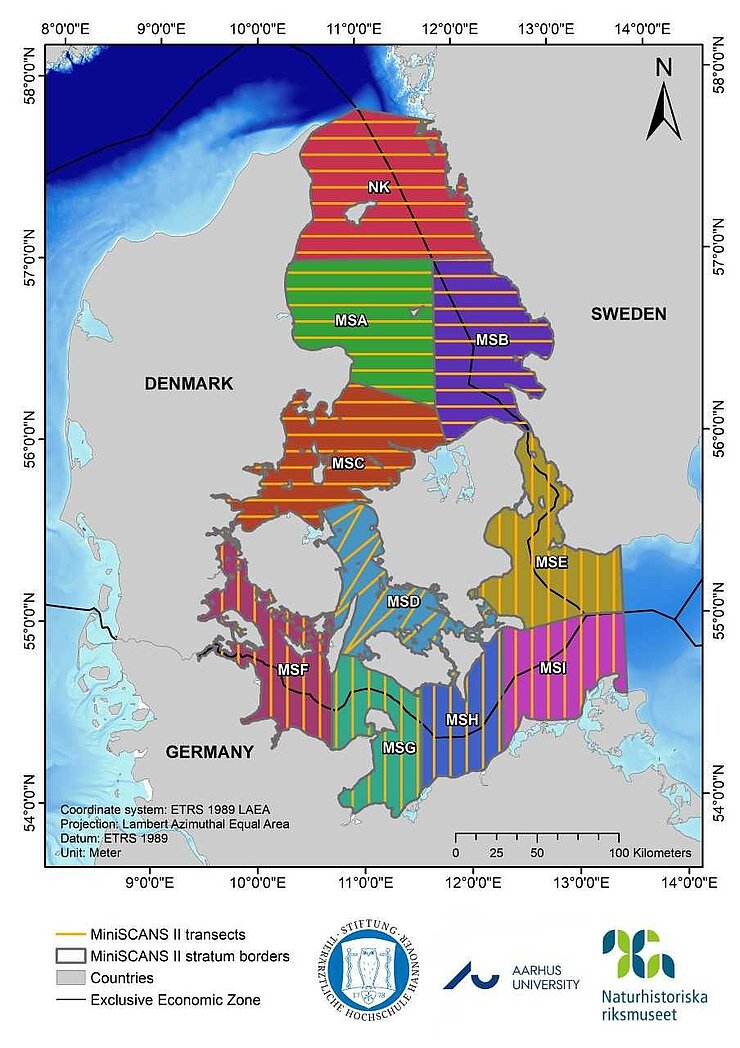 Overview of the Study area and transects of MiniSCANS-II for the assessment of abundance and distribution of the harbour porpoise population in the western Baltic Sea, Belt Sea, the Sound and Kattegat
