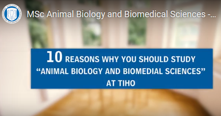 10 Gründe, warum du deinen Biologie-Master an der TiHo machen solltest!