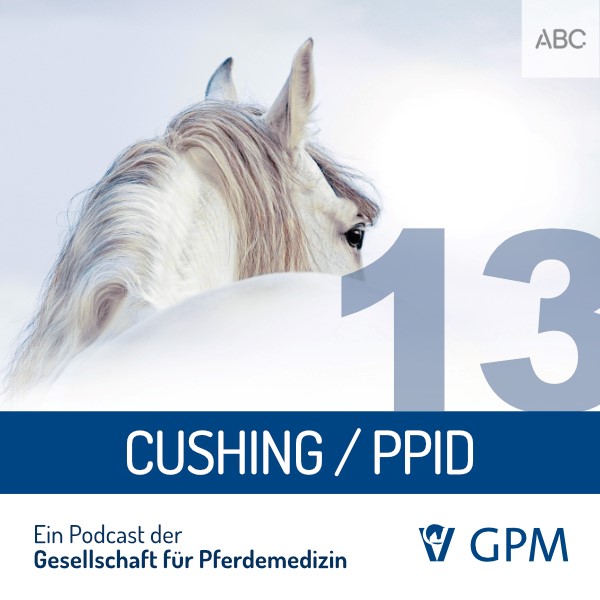 Ein Pferd und die Worte Cushing/PPID.