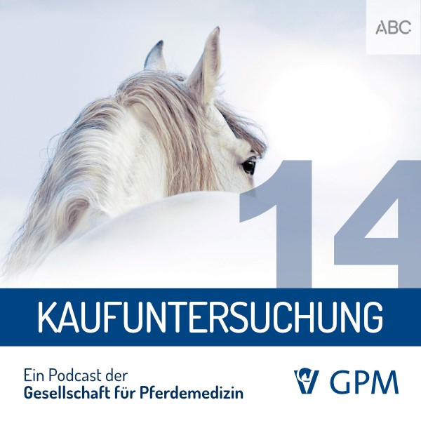 Ein Pferd und das Wort Kaufuntersuchung.