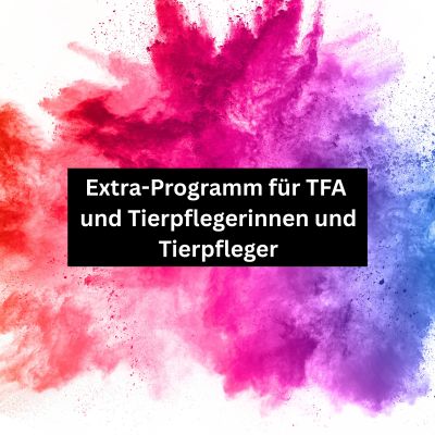 Info-Kachel