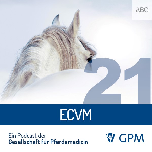 Grafik zum Podcast ECVM