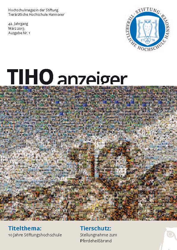 TiHo-Anzeiger 01/2013, Titelseite