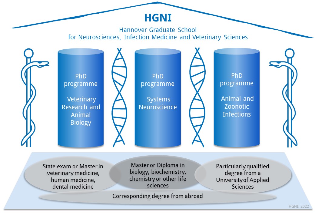Structural concept of the HGNI