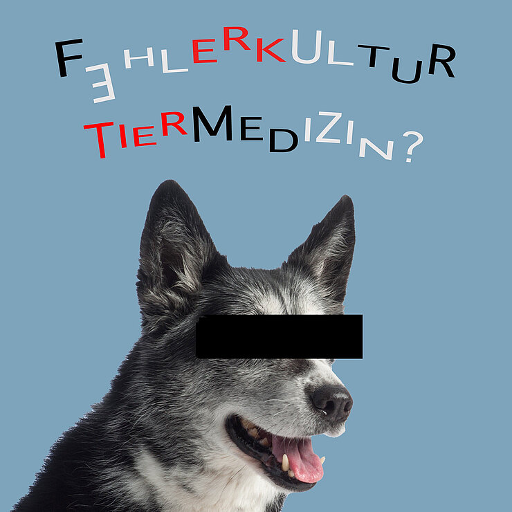 Fehlerkultur in der Tiermedizin