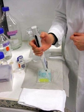 Enzymimmunoassay