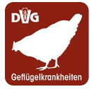 DVG Fachgespräch über Geflügel