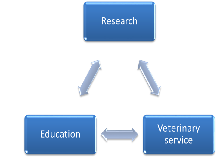 Research Education Veterinary Service