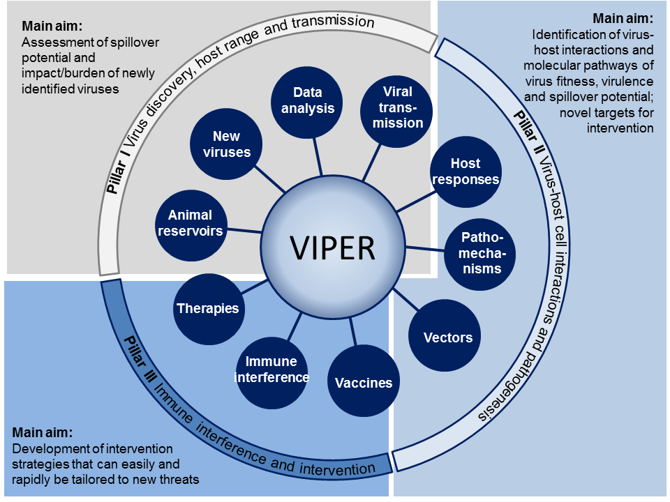 VIPER pillars (schematic