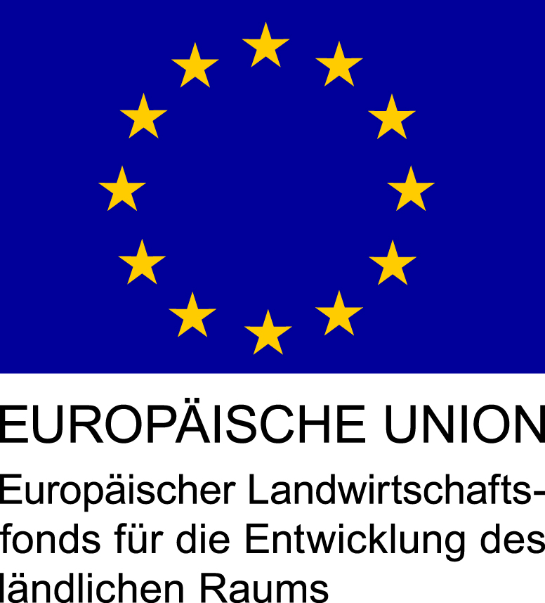 Europäische Union Logo