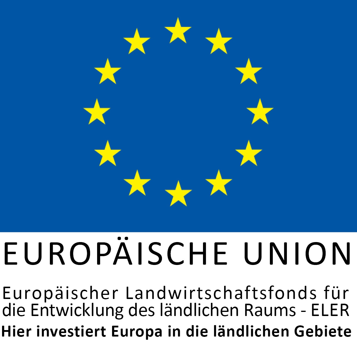 Europäische Union Logo 2