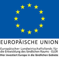 EU-Logo