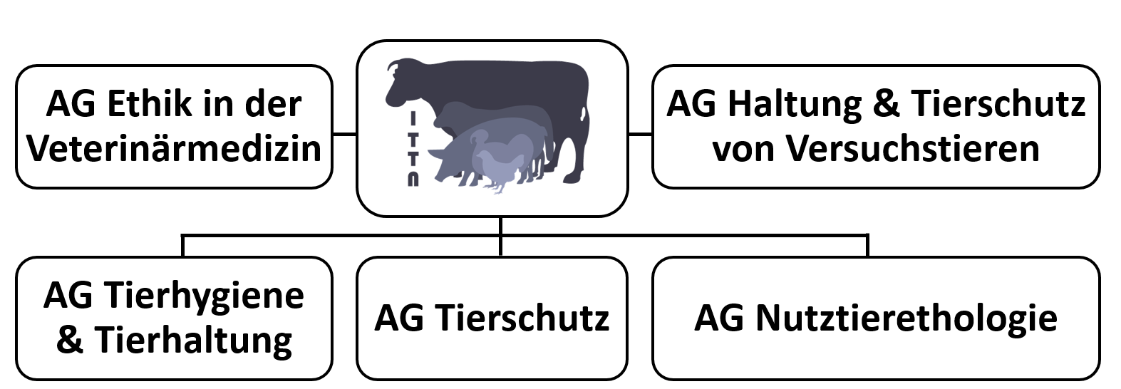 Grafik: Im Zentrum ein umrahmtes Feld mit folgendem Inhalt: Das Logo des Instituts, wie im Nachgang beschrieben: Fast übereinander, leicht durchscheinend angeordnet: Ein Rind, ein Schaf, ein Schwein, eine Pute, ein Huhn. Links daneben das Kürzel des Instituts "ITTN". Links neben dem Logo: Ein umrahmtes Feld mit schriftlichem Inhalt: AG Ethik in der Veterinärmedizin. Rechts neben dem Logo: Ein umrahmtes Feld mit schriftlichem Inhalt: AG Haltung & Tierschutz von Versuchstieren. Unter allem 3 gerahmte Felder nebeneinander mit folgendem schriftlichen Inhalt: AG Tierhygiene & Tierhaltung, AG Tierschutz, AG Nutztierethologie