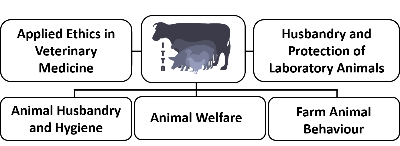 In the centre a framed field with the following content: The institutes-logo, as follows: Nearly overlapping, slightly translucent arranged: A dairy cow, a sheep, a pig, a turkey, a chicken. On the left the abbreviation of the Institute “ITTN”. On the left, next to the Logo: A framed field with written content: Ethics in Veterinary Medicine Group. On the right of the logo: A framed field with written content: Husbandry and Welfare of Laboratory Animals Group. Below, all 3 framed fields side by side with following written content: Animal Hygiene and Husbandry Group, Animal Welfare Group, Animal Behaviour Group.