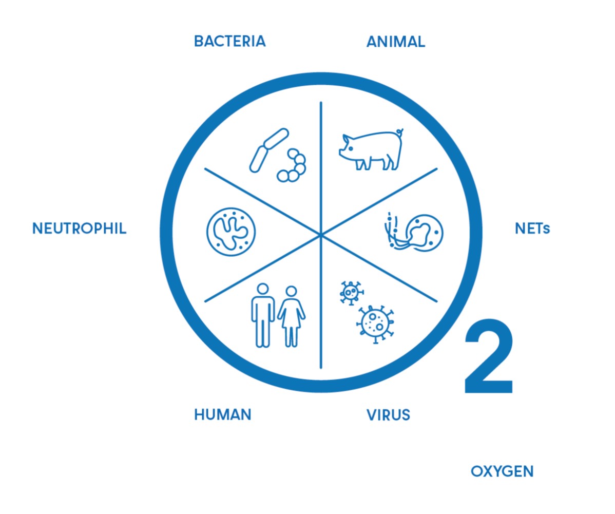 Logo zur Oxygen-Forschung, die Pictogramme von Bakterien, Viren, Schweinen und Menschen, sowie Antikörper sind in einem Kreis dargestellt, der gleichzeitig das O des O2 für Sauerstoff darstellt
