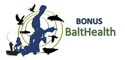 Balthealth Logo