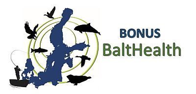 Balthealth logo