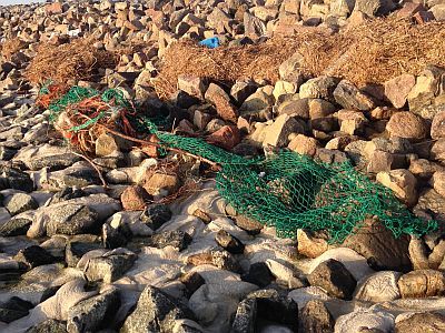 Plastikmüll in mariner Umwelt.