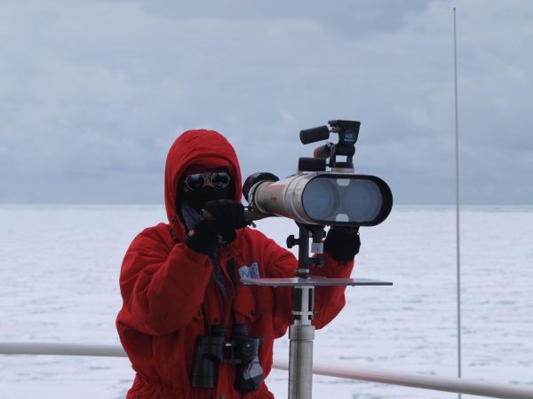 Verhaltensbeobachtungen von Walen mit Hilfe von Big Eyes auf dem Krähennest der Polarstern des Alfred-Wegener-Instituts