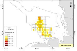 Winter distribution of harbour porpoise in the German Bight (Sightings/ km transect line)