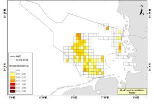 Winter distribution of harbour porpoise in the German Bight (Sightings/ km transect line)