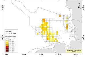 Karte zur Verteilung von Schweinswalen im Winter in der Deutschen Bucht (Sichtungen/Transektkilometer)