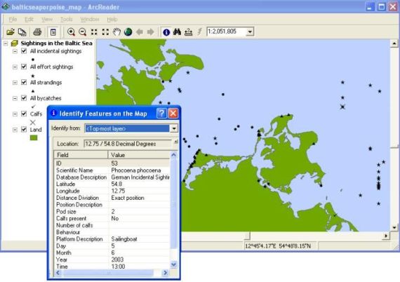 Map of the baltic sea with positions of sightings, strandings and by-caught harbour porpoise