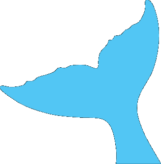 tail fin whale