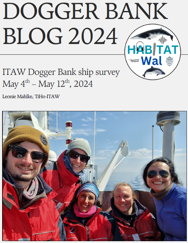 Team ship survey 2024