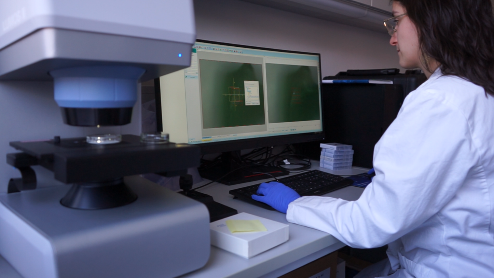 Fourier-Transform-Infrarot-Mikroskop zur Analyse von Mikroplastik