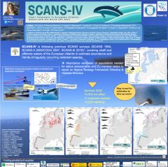 Poster with first results from SCANS-IV Survey