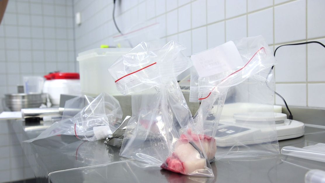 Tissue samples of a harbour porpoise in a bag
