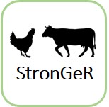 Logo StronGeR