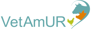 VetAmUR Logo