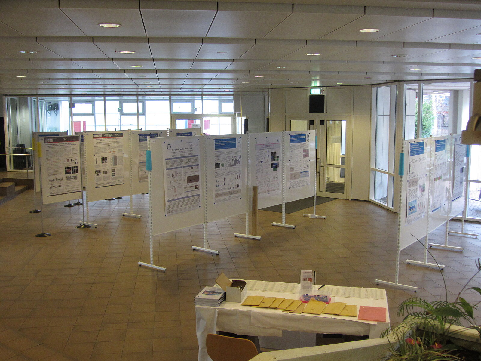 Poster session GS Day