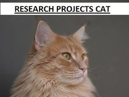Research Projects Cat