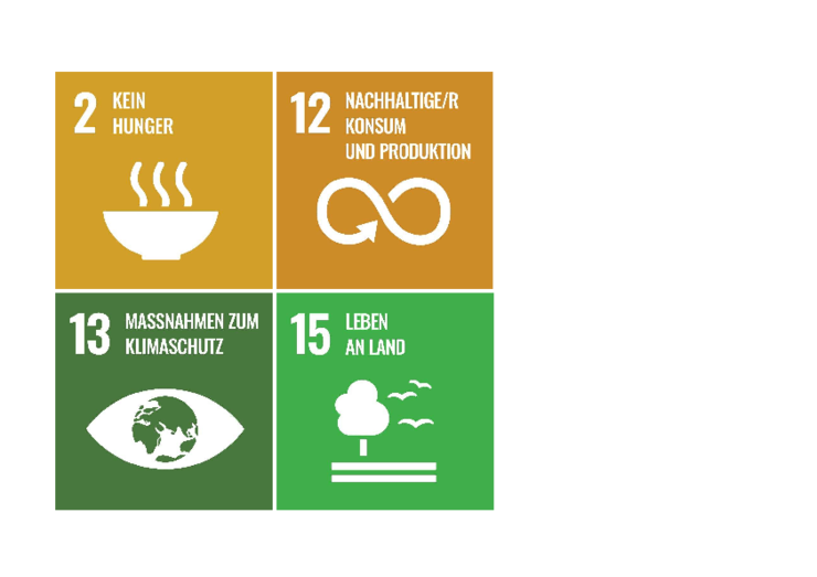 SDG Icons 2,12,13,15