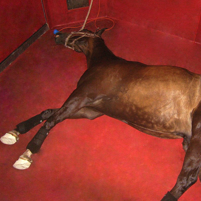 Aufstehhilfe und Aufwachbox