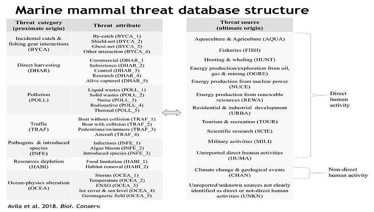 Screenshot of the data base structure