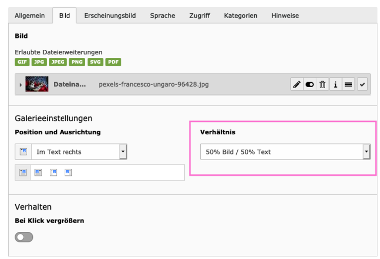 Text/Bild-Auswahl im Backend