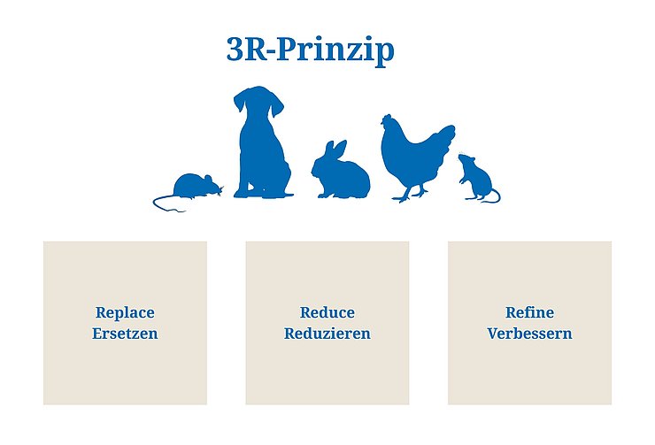Symbolbild_3R-Prinzip