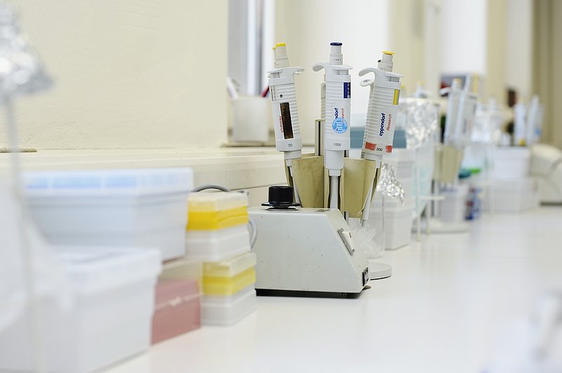 Arbeitsplatz. Aufgenommen im Institut für Lebensmittelqualität und -sicherheit