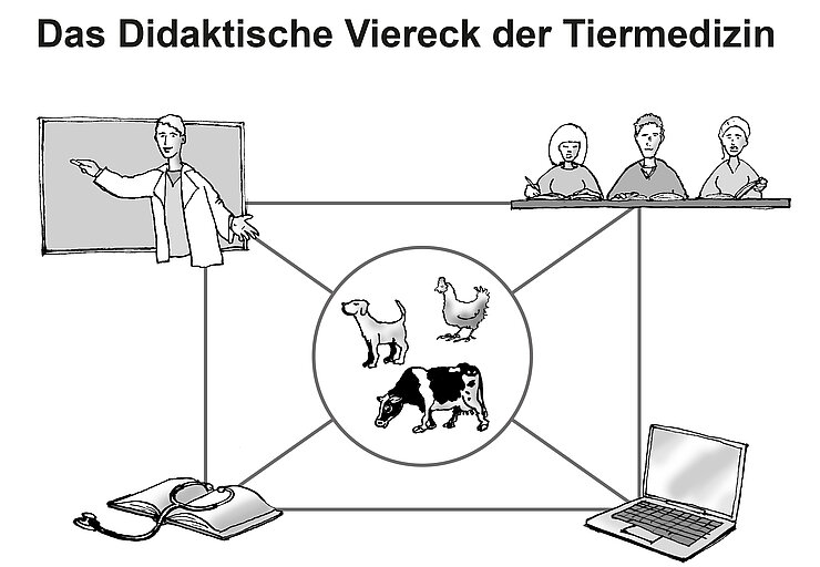 Das "Didaktische Viereck" für die Tiermedizin