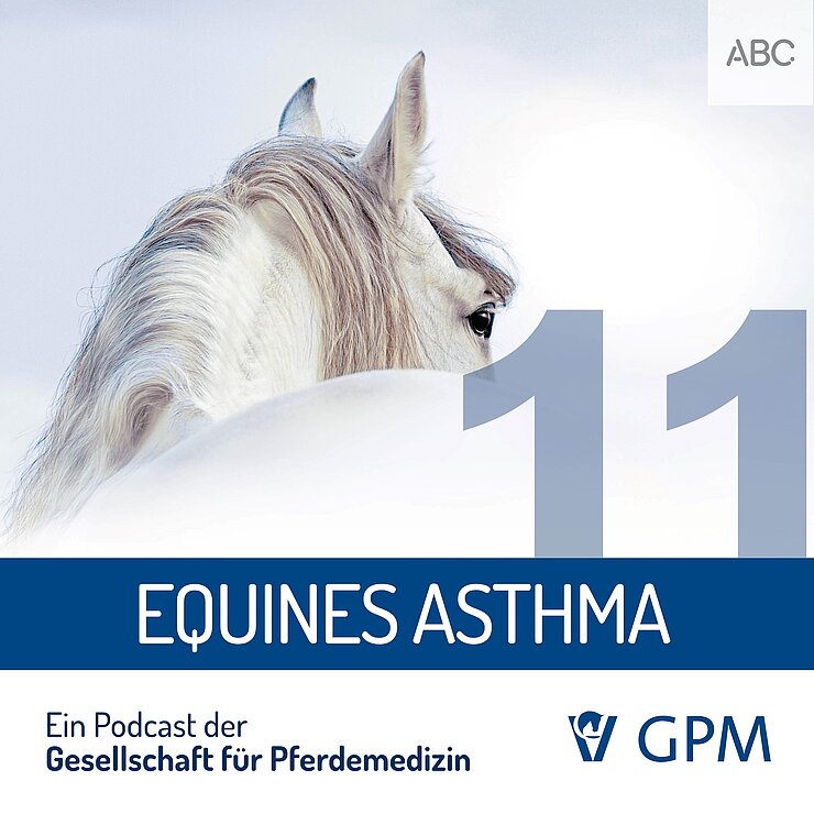 Grafik für den Podcast Pferdemedizin heute zum Thema Equines Asthma