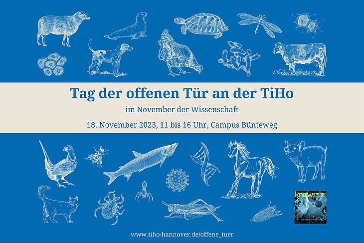 Grafik für den Tag der offenen Tür der TiHo am 18. November von 11 bis 16 Uhr