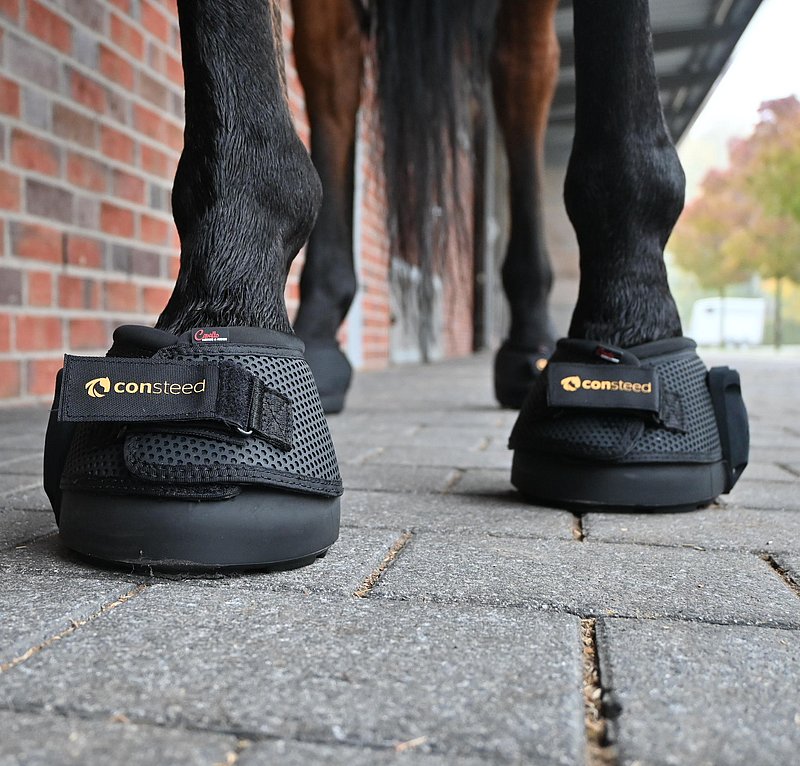 Pferd mit Hufschuhen ausgestattet